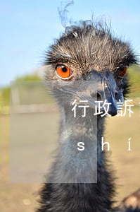行政訴訟一般要打多久(行政訴訟的訴訟時(shí)效是多久?)