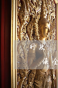 行政訴訟中可以財產(chǎn)保全嗎(訴訟保全了財產(chǎn)勝訴后能執(zhí)行的財產(chǎn)嗎)