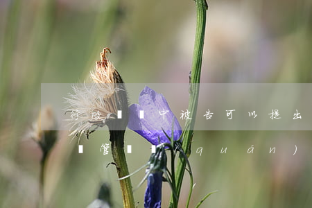 行政訴訟中被告可以提出管轄異議嗎(行政訴訟管轄權(quán)異議什么時(shí)候提出)