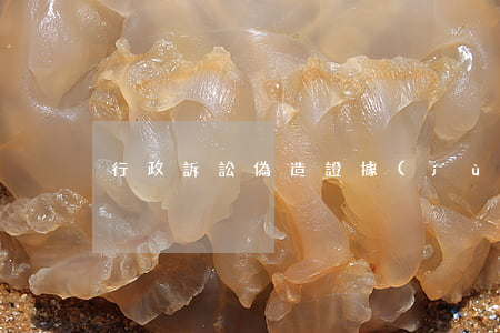 行政訴訟偽造證據(jù)可以使用嗎