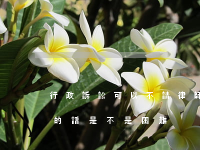 行政訴訟可以不請律師嗎(行政訴訟不請律師的話,是不是困難)