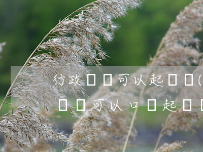 行政訴訟可以起訴個(gè)人嗎(提起行政訴訟可以口頭起訴嗎)