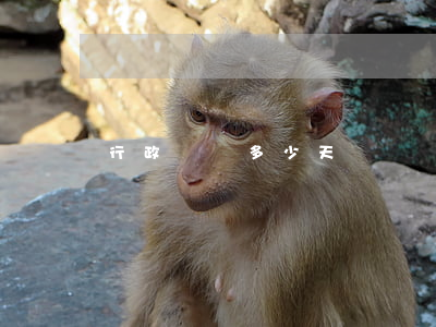 行政訴訟多少天
