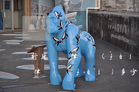 行政訴訟律師費(fèi)用誰出(行政官司律師費(fèi)多少)