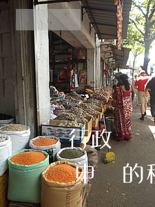 行政訴訟是怎么申請(qǐng)(行政訴訟申訴的程序)