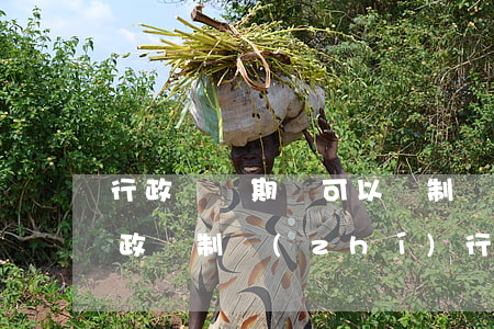 行政訴訟期間可以強制執(zhí)行嗎(行政強制執(zhí)行管轄法院)
