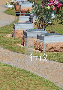 行政訴訟案件好打嗎(行政訴訟打贏沒用)