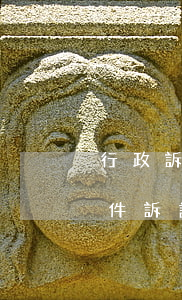 行政訴訟案件訴訟費(fèi)(行政訴訟案件訴訟費(fèi)執(zhí)行順序)