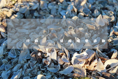 行政訴訟法院接受逾期舉證怎么辦-行政訴訟逾期舉證后果