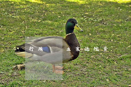 行政訴訟立案法院管轄會受住所地變更影響嗎