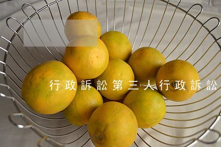 行政訴訟第三人(行政訴訟第三人的特征)