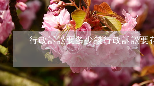 行政訴訟要多少錢(行政訴訟要花錢嗎)