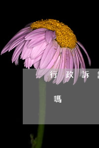行政訴訟要找哪里的律師(行政訴訟要請律師嗎)
