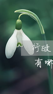 行政訴訟證據(jù)規(guī)則包含有哪些內(nèi)容