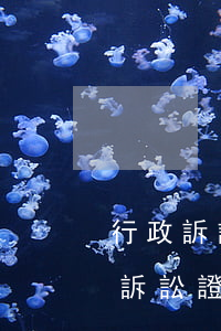 行政訴訟證據(jù)規(guī)則(行政訴訟證據(jù)規(guī)則的特殊性)