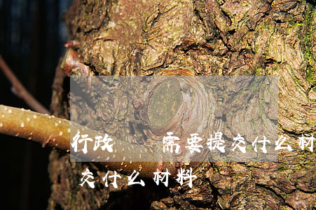 行政訴訟需要提交什么材料(行政訴訟需要提交什么材料)