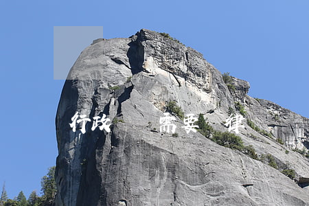 行政訴訟需要請律師嗎
