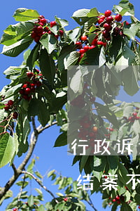 行政诉讼多久立案时间(行政诉讼案从立案到结案不得超过多长时间)