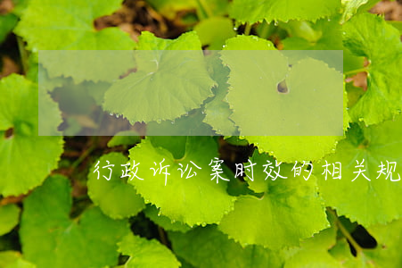 行政诉讼案时效的相关规定