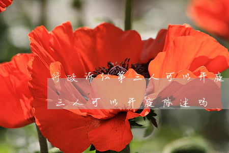 行政诉讼第三人可以开庭陈述吗(行政诉讼第三人可以开庭陈述吗)