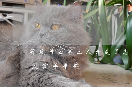 行政诉讼第三人开庭了怎么做(行政诉讼第三人简单举例)