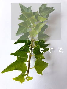 行政诉讼答辩状(行政诉讼答辩状注意事项)