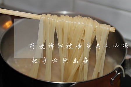 行政诉讼被告负责人必须出庭吗(行政诉讼一把手必须出庭)