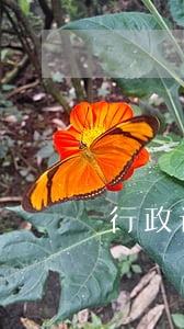 行政诉讼证据清单的内容有哪些