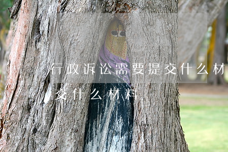 行政诉讼需要提交什么材料(行政诉讼需要提交什么材料)