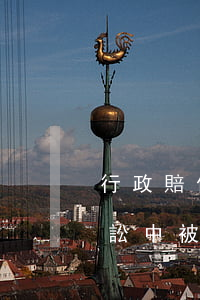 行政賠償訴訟中被告可以反訴嗎(行政賠償訴訟中被告可以反訴嗎)