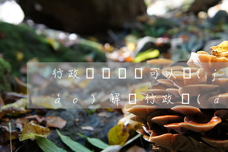 行政賠償訴訟可以進(jìn)行調(diào)解嗎(行政調(diào)解可以起訴嗎)
