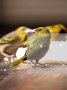 行政起诉状怎么写(行政起诉状怎么写样板)