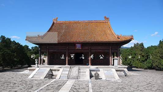 行政違法可以考公務(wù)員嗎(違法能考公務(wù)員嗎)