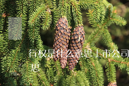 行权是什么意思(上市公司股票行权是什么意思)