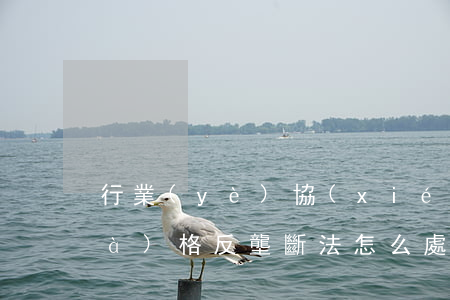 行業(yè)協(xié)會違反價(jià)格反壟斷法怎么處罰