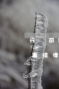 行為可以做法律關(guān)系客體嗎(民事法律關(guān)系的客體包括行為嗎)