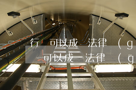 行為可以成為法律關(guān)系的主體嗎(可以成為法律關(guān)系主體的有?)