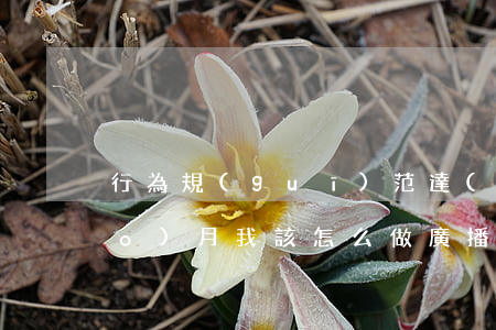 行為規(guī)范達(dá)標(biāo)月我該怎么做廣播稿(養(yǎng)成良好的行為廣播稿100字)