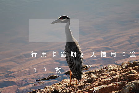 行用卡逾期2天（信用卡逾期2天怎么補(bǔ)救）