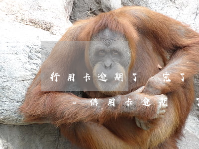 行用卡逾期了還完了還能再消費(fèi)嗎-信用卡逾期還了以后還能用嗎