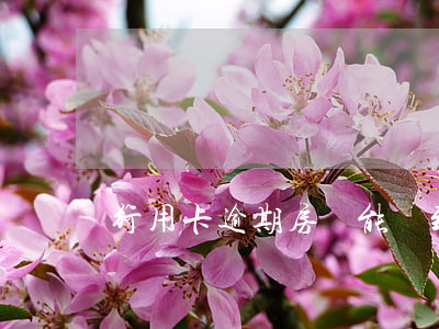 行用卡逾期房貸能辦到嗎