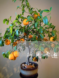 行用卡逾期法院強制執(zhí)行嗎