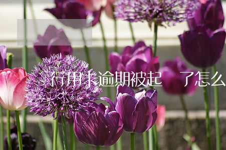 行用卡逾期被起訴了怎么辦(銀行卡逾期起訴)