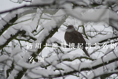 行用卡逾期被起訴怎么辦(銀行逾期被起訴怎么辦)