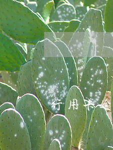 行用卡逾期起訴程序