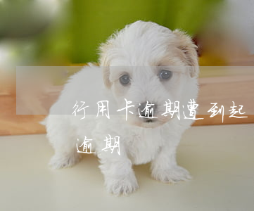 行用卡逾期遭到起訴 發(fā)生過信用卡逾期