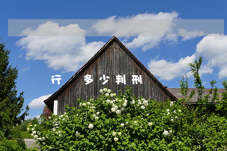 行賄多少判刑