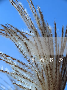 行賄多少錢判刑(行賄多少錢判刑)