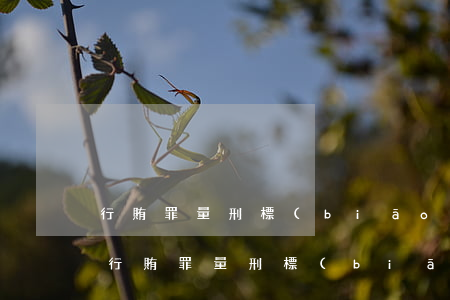 行賄罪量刑標(biāo)準(zhǔn)(行賄罪量刑標(biāo)準(zhǔn))