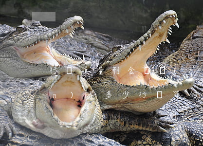 行賄罪量刑金額標(biāo)準(zhǔn)是多少（行賄罪的量刑標(biāo)準(zhǔn)是怎樣的）